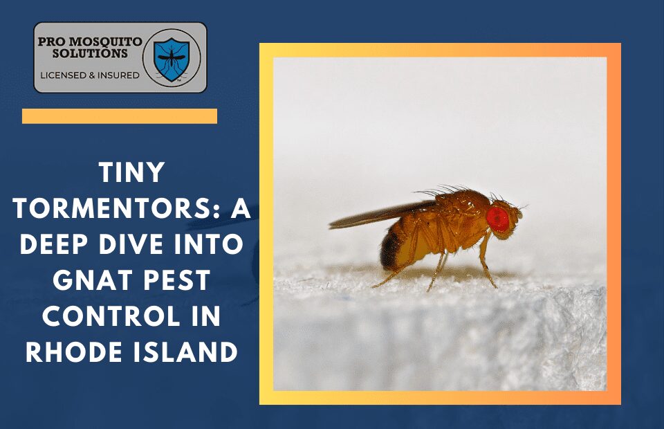 Effective gnat pest control solutions provided by Pro Mosquito Solutions in Rhode Island, targeting infestations in homes and businesses.