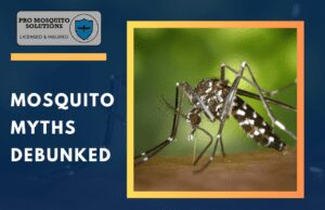 A graphic illustrating 25 mosquito myths debunked, featuring common misconceptions and accurate facts about mosquito control in Rhode Island.