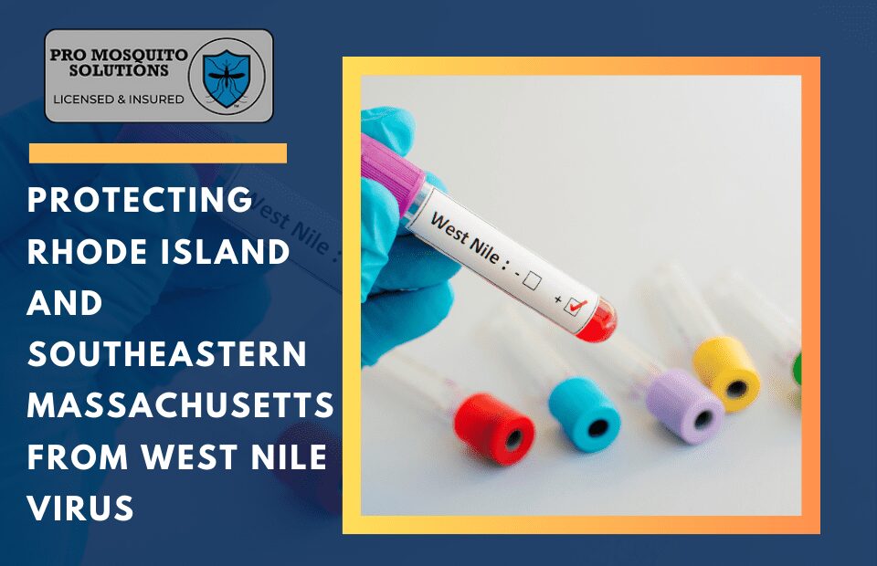 A Rhode Island backyard protected from mosquitoes with Pro Mosquito Solutions treatments, reducing the risk of West Nile Virus.