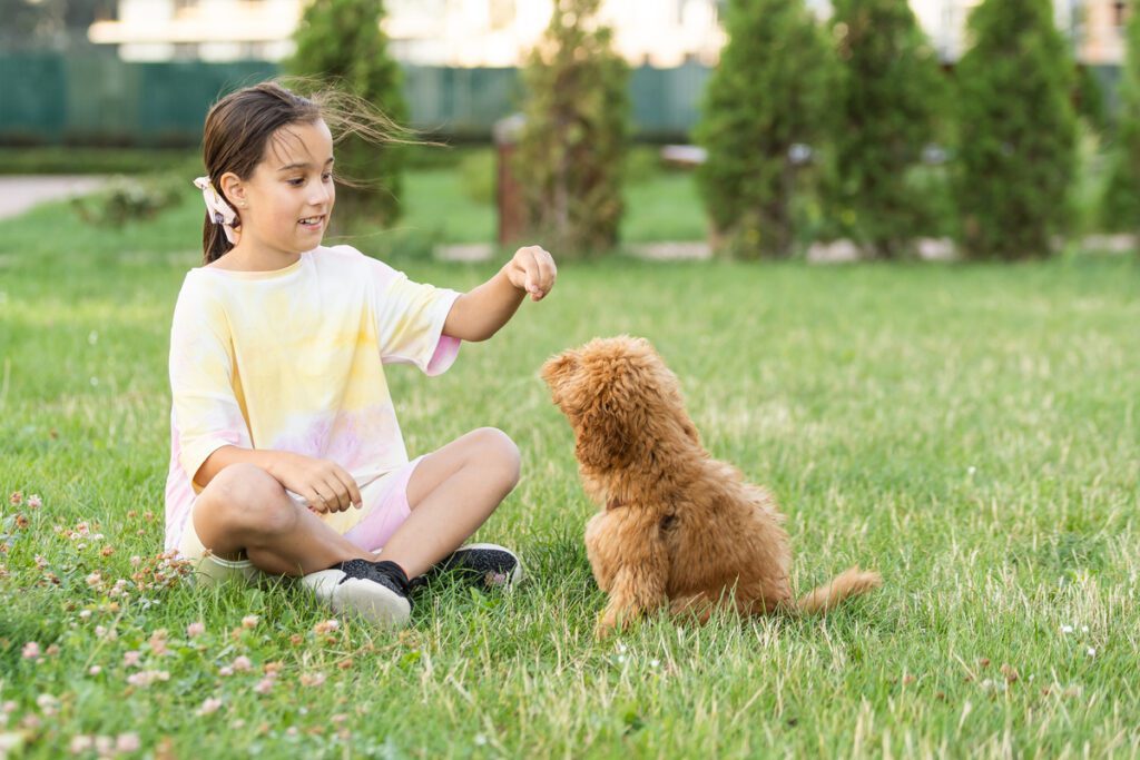 A girl playing with her dog in a safe, pest-free yard, maintained with pet-friendly pest control solutions by Pro Mosquito Solutions in Rhode Island.